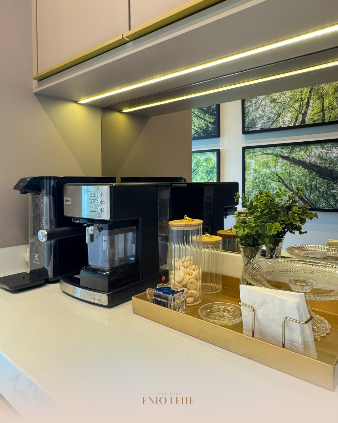 Instituto Dr. Enio Leite